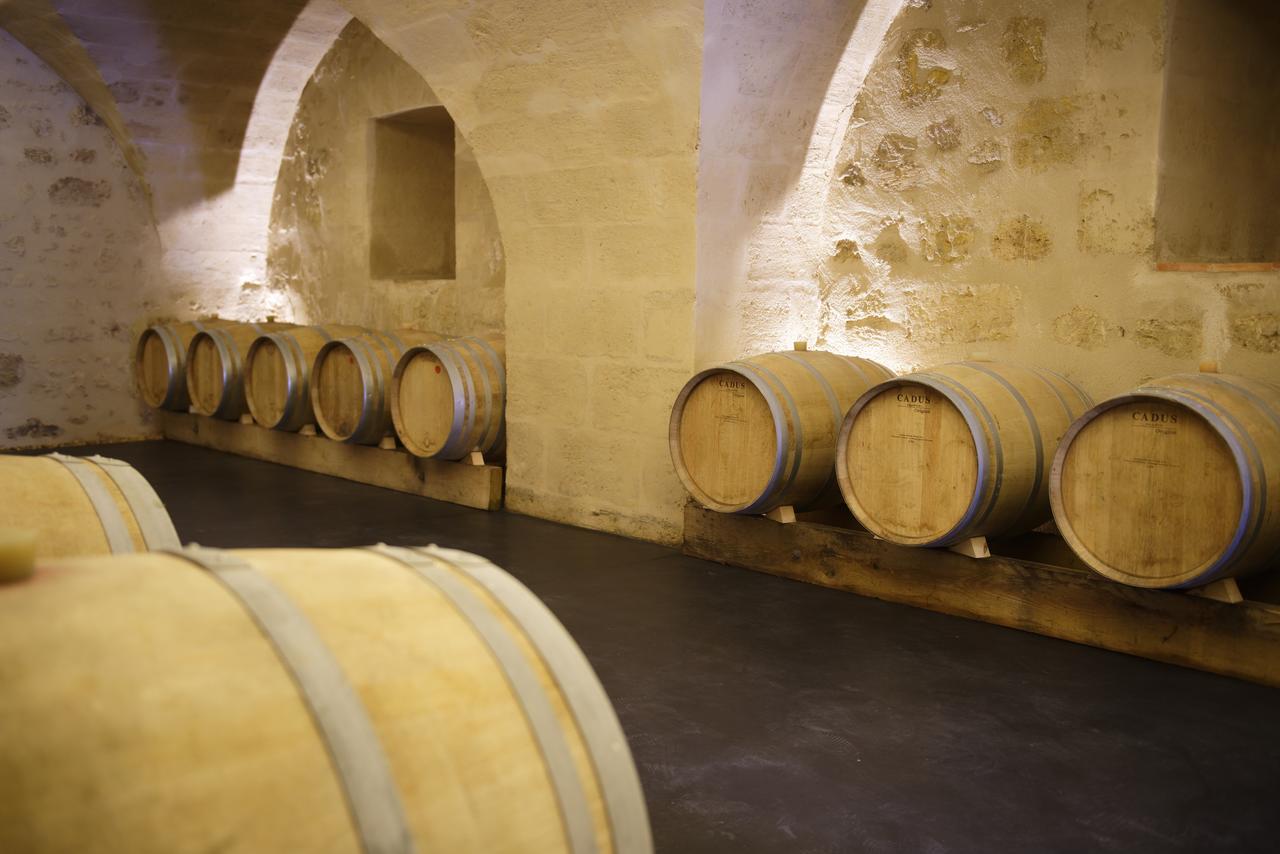 Chambres D'Hotes De Chateau Renon Tabanac Luaran gambar